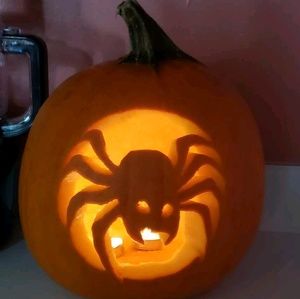 Meet your Posher, Lili